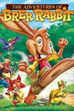 Watch The Adventures of Brer Rabbit Movie25