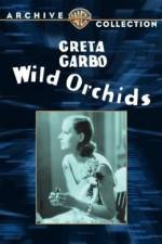Watch Wild Orchids Movie25