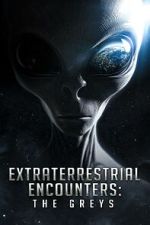 Watch Extraterrestrial Encounters: The Greys Movie25
