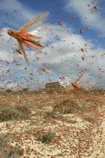Watch Swarm Chasers: Locusts Movie25