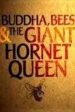 Watch Natural World Buddha Bees and the Giant Hornet Queen Movie25