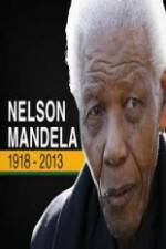 Watch Nelson Mandela: The Final Chapter Movie25
