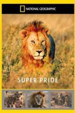 Watch National Geographic: Super Pride  Africa's Largest Lion Pride Movie25