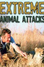 Watch Extreme Animal Attacks Movie25