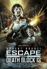 Watch Escape from Death Block 13 Movie25