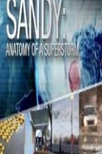 Watch Sandy Anatomy Of A Superstorm Movie25