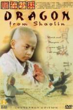 Watch Long zai Shaolin Movie25