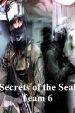 Watch Discovery Channel Secrets of Seal Team 6 Movie25
