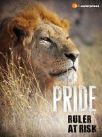 Watch Pride - Ruler\'s at Risk Movie25