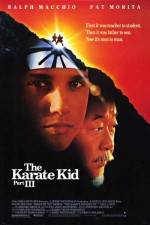 Watch The Karate Kid, Part III Movie25