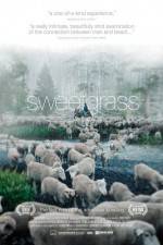 Watch Sweetgrass Movie25