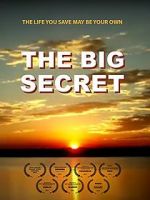 Watch The Big Secret Movie25