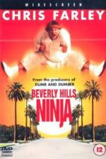 Watch Beverly Hills Ninja Movie25