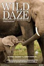 Watch Wild Daze Movie25