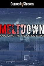 Watch Meltdown: Analyzing the Radiation Leaks Movie25