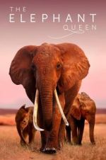 Watch The Elephant Queen Movie25