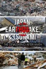 Watch Japan Aftermath of a Disaster Movie25