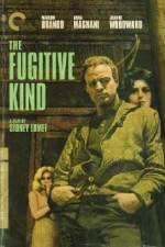 Watch The Fugitive Kind Movie25