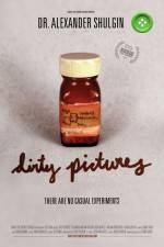Watch Dirty Pictures Movie25