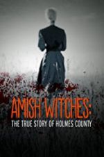 Watch Amish Witches: The True Story of Holmes County Movie25