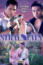 Watch Stray Cats Movie25