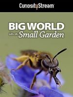 Watch Big World in a Small Garden (TV Short 2016) Movie25