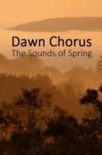 Watch Dawn Chorus: The Sounds of Spring Movie25