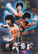 Watch The Clones of Bruce Lee Movie25