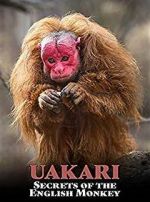 Watch Uakari: Secrets of the English Monkey Movie25
