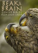 Watch Beak & Brain - Genius Birds from Down Under Movie25