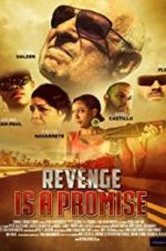 Watch Revenge Is a Promise Movie25
