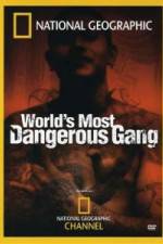 Watch National Geographic World's Most Dangerous Gang Movie25