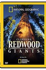 Watch National Geographic Explorer: Climbing Redwood Giants Movie25
