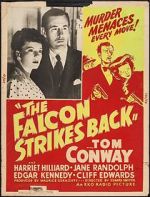 Watch The Falcon Strikes Back Movie25