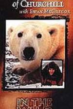 Watch The Polar Bears of Churchill with Ewan McGregor Movie25