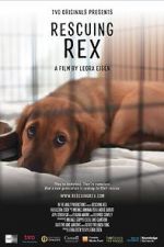 Watch Rescuing Rex Movie25