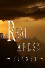 Watch The Real Apes of the Planet Movie25