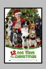 Watch 12 Dog Days of Christmas Movie25