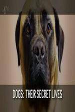 Watch Dogs: Their Secret Lives Movie25