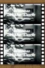 Watch Witness in the Dark Movie25
