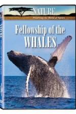 Watch Fellowship Of The Whales Movie25