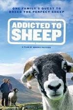 Watch Addicted to Sheep Movie25