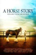 Watch A Horse Story Movie25