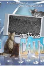 Watch Shorts for Cats Movie25
