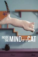 Watch Inside the Mind of a Cat Movie25