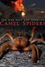 Watch Camel Spiders Movie25