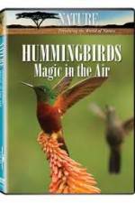 Watch Hummingbirds Magic in the Air Movie25