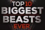 Watch Top 10 Biggest Beasts Ever Movie25