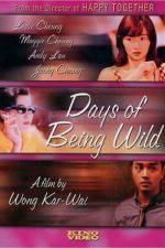 Watch Days of Being Wild Movie25