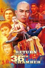 Watch Return to the 36th Chamber Movie25
